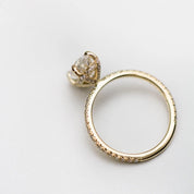 Anel Solitário de Ouro 18k Evadne - Vethra & Co.